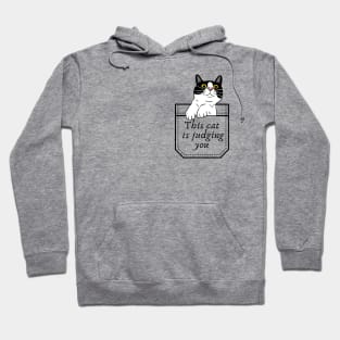 This cat is judging you Hoodie